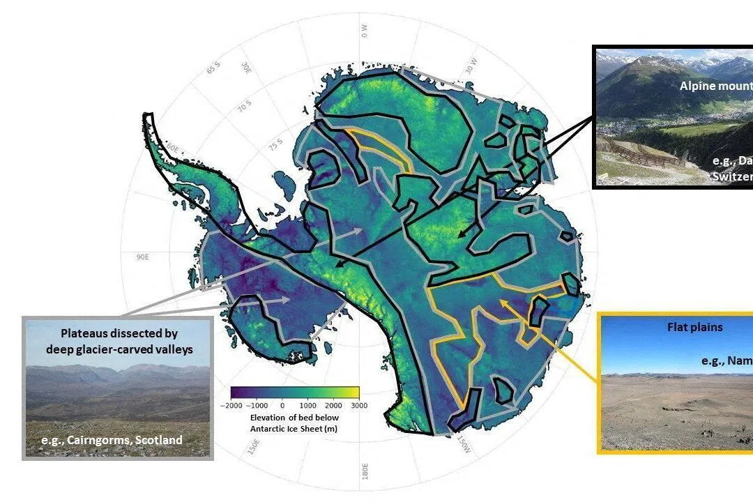 Subscribe Placeholder