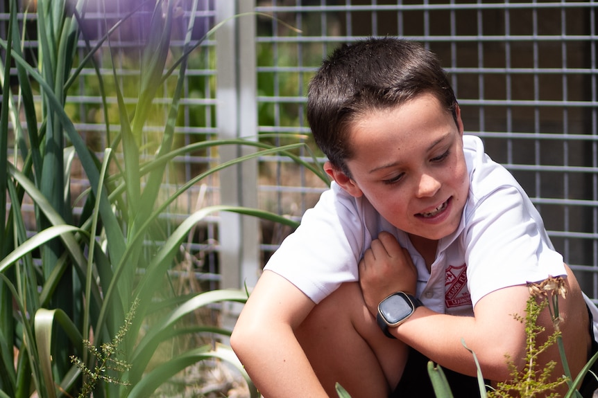 A smiling, dark-haired boy of about six kneels down and inspects a small plant growing in a garden bed.