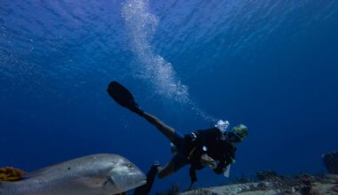 UN biodiversity treaty enters into force, aims to protect 30% of oceans by 2030