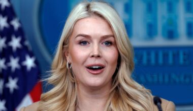 ‘You’re a left-wing hack,’ Trump press secretary tells Irish journalist after Ice question – The Irish Times