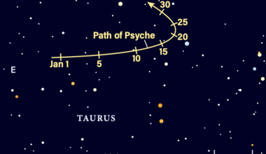 The path of asteroid 16 Psyche in January 2026