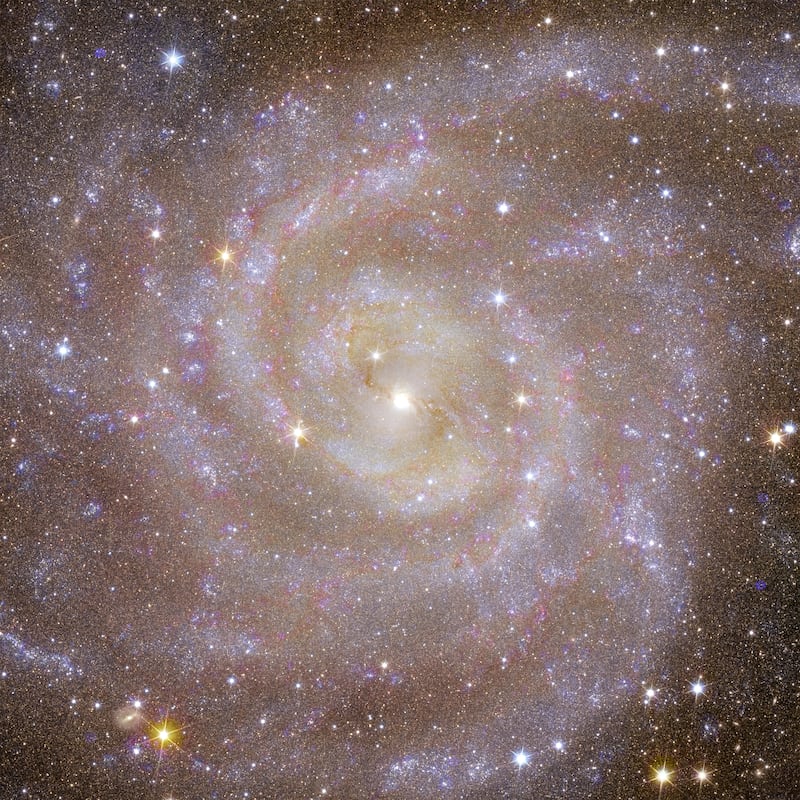 A new view of the spiral galaxy IC 342, captured by the European Space Agency’s Euclid telescope. Photograph: ESA/Euclid Consortium/Nasa/The New York Times