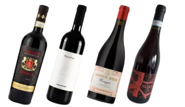 four exciting wines from the north of Italy – The Irish Times