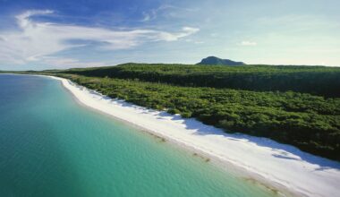 Irish man (35) found dead at Whitehaven beach among three deaths on Australia’s east coast – The Irish Times