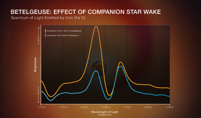 Betelgeuse's Companion Confirmed After Eight-Year Study