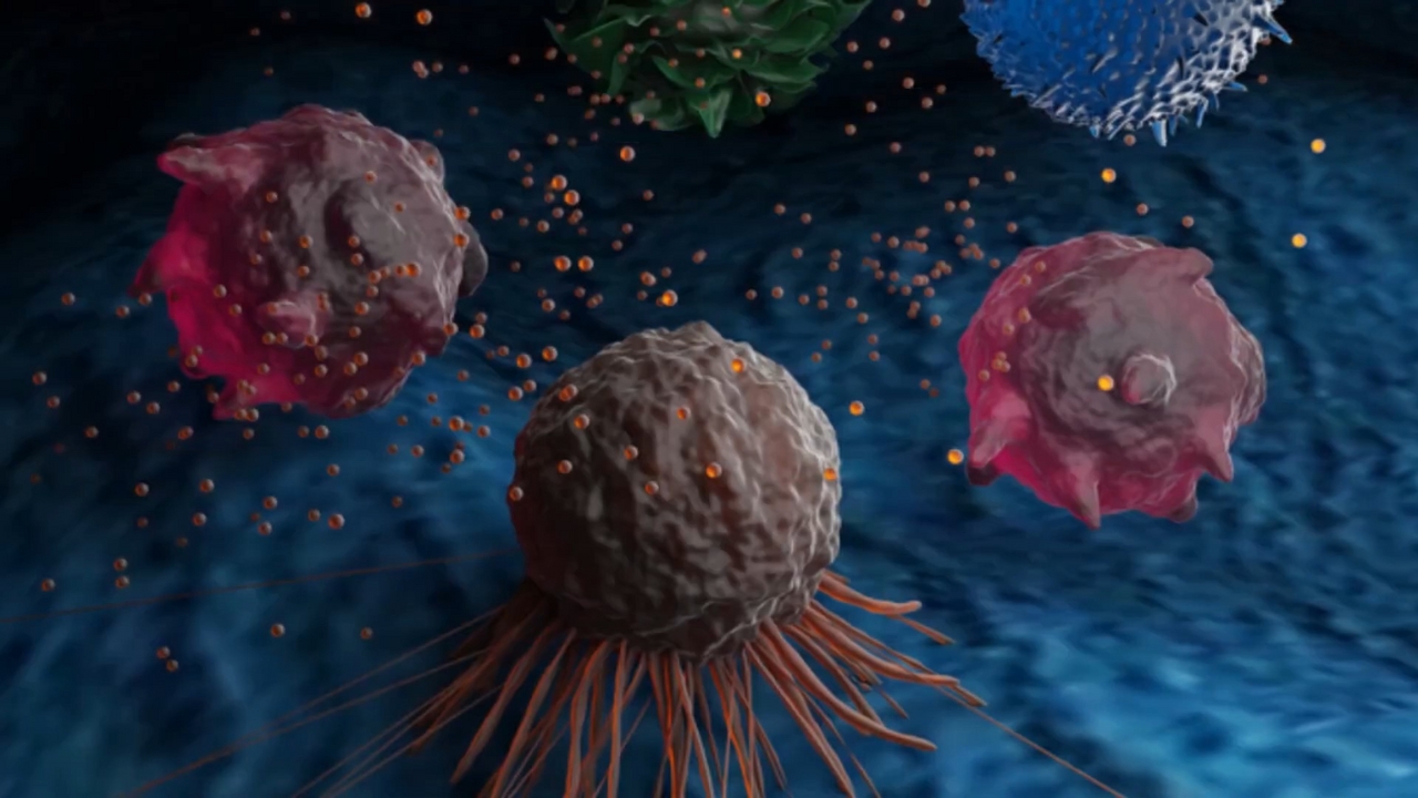 Cancer Spreads Using Tiny Invisible Bubbles, Scientists Say They’ve Figured Them Out