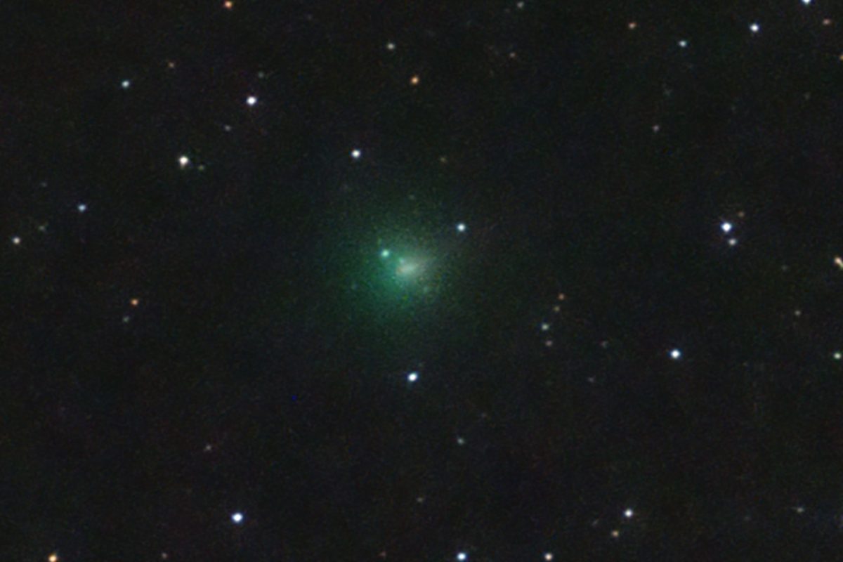 Comet 24P/Schaumasse by José J. Chambó by Benali, Valencia, Spain. Equipment: GSO 8" @ f/3.8 reflector, Canon EOS-100D.