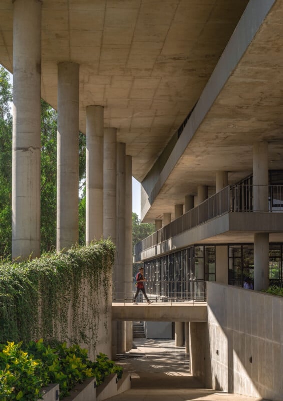 A person walks across a concrete bridge between modern buildings with tall pillars, greenery hanging from a wall, and sunlight casting shadows on the architecture.