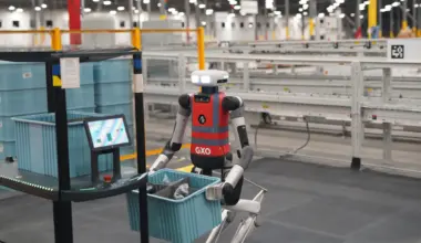 Equilibrio dinámico: mantener la estabilidad al caminar y transportar cargas