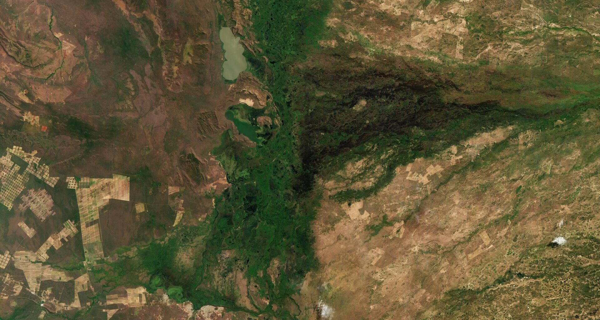 ESA - Earth from Space: Pantanal