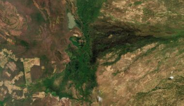 ESA - Earth from Space: Pantanal