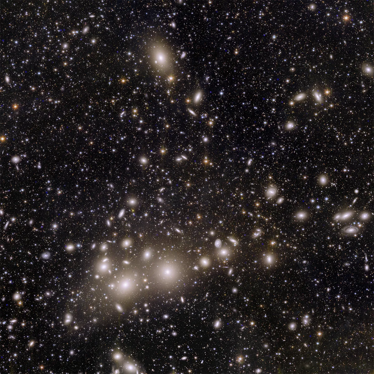 The Perseus cluster of galaxies, captured by the European Space Agency's Euclid mission. Credit: ESA/Euclid/Euclid Consortium/NASA, image processing by J.-C. Cuillandre (CEA Paris-Saclay), G. Anselmi; CC BY-SA 3.0 IGO