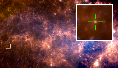 JWST image of the merged star LRN AT 2011kp in the galaxy NGC 4490