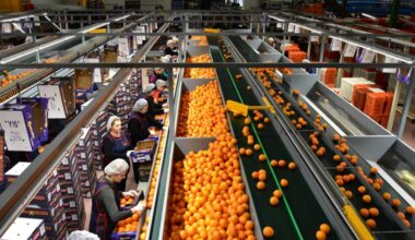 Growth failing to raise workers’ standard of living, report finds