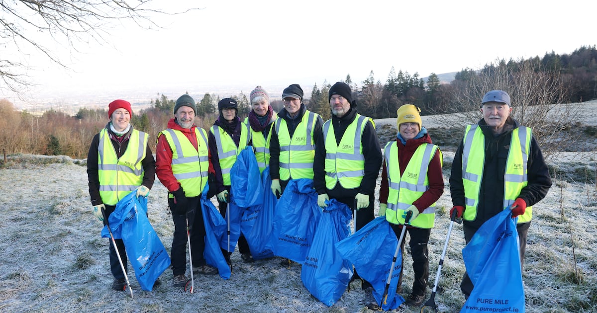 Stuffed gorilla, tyres and fast gas cans all amid heaps of dumped waste in Dublin Mountains – The Irish Times