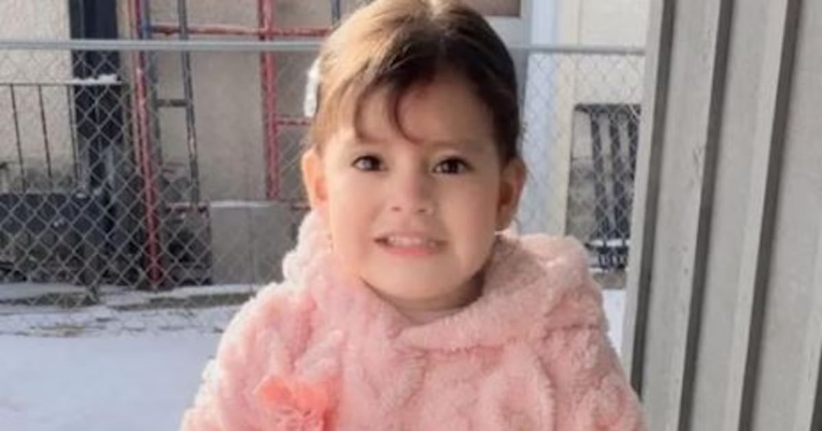 US immigration agents detain two-year-old Minnesota girl – The Irish Times