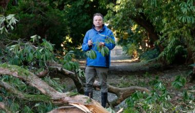Seamus O’Brien, a giant of Irish horticulture, leaves behind an unassailable legacy – The Irish Times