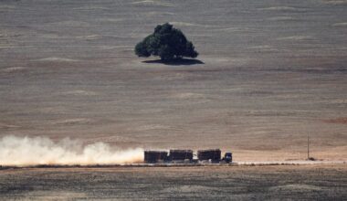 How deforestation is a risk for boards, not just for the environment