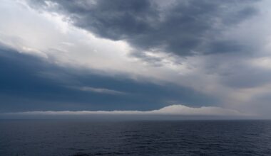 High Seas Treaty takes effect, giving the open ocean real protection