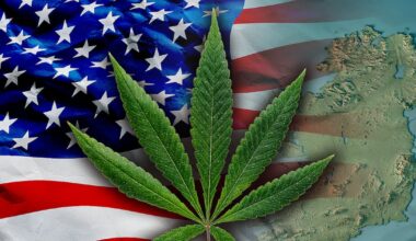 How the Irish cannabis market has been transformed by legalisation in other countries – The Irish Times