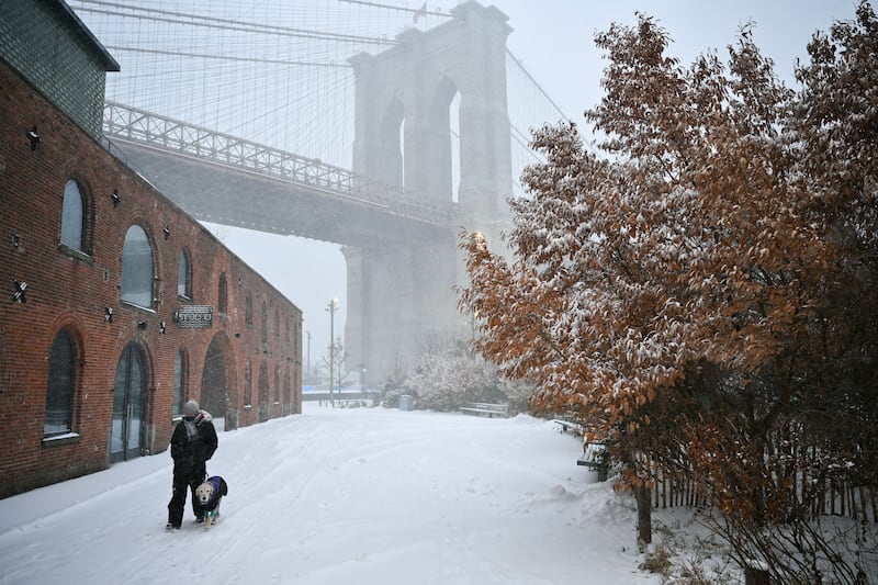 A person and their dog walk near the Brooklyn Bridge in New York City on Sunday. Photograph: Angela Weiss/AFP via Getty