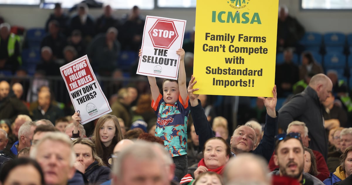 MEPs refer Mercosur deal to EU courts, throwing future of trade agreement into doubt – The Irish Times