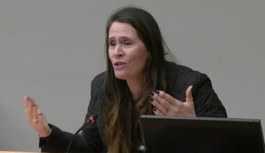 State could nationalise social media platforms, says TD