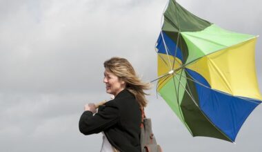 Another cold day ahead of Status Yellow wind warning coming into place for 11 counties