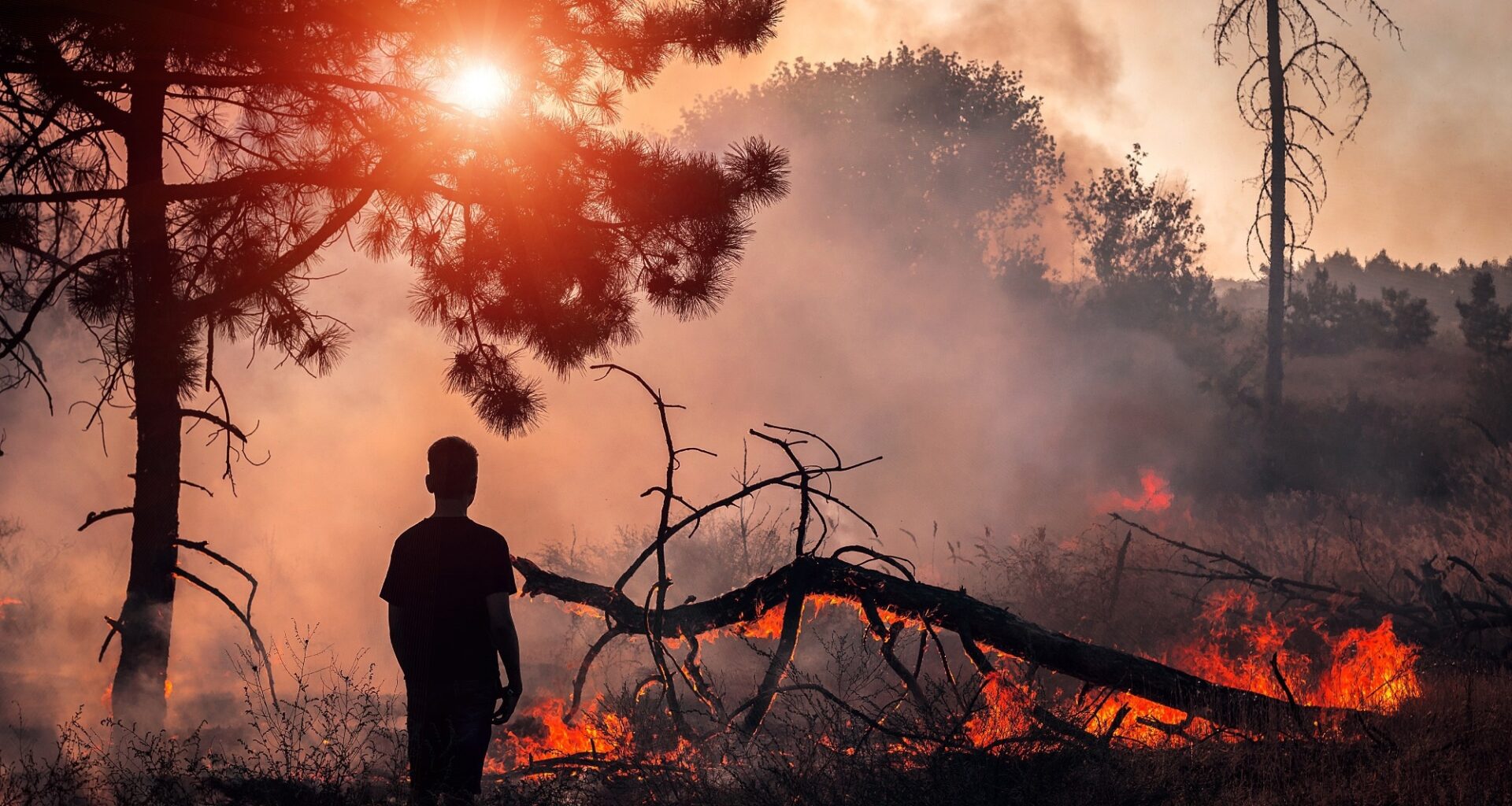 boy look at wildfire at sunset, burning pine forest in the smoke and flames.