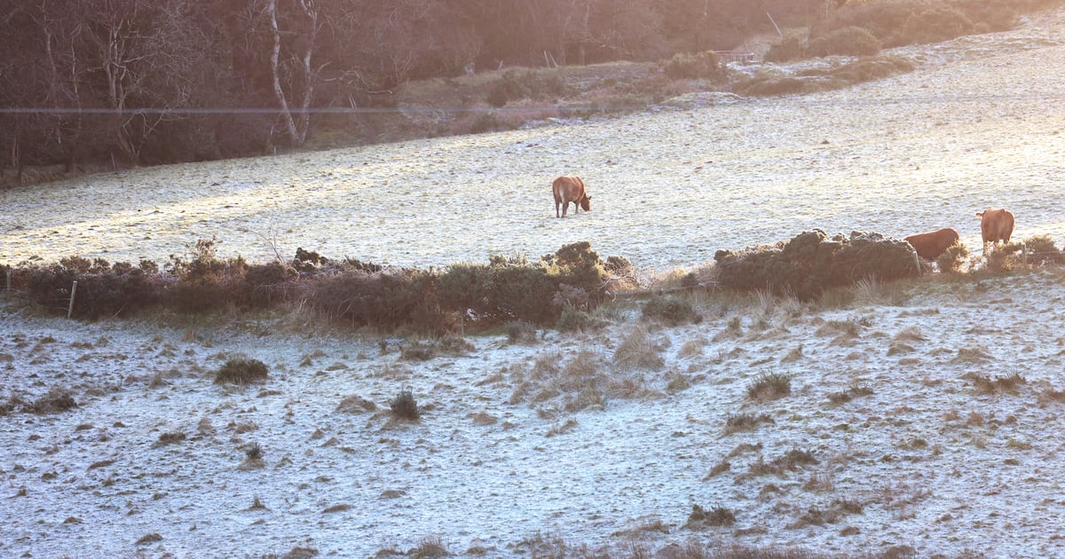 School closures in parts of Ireland as Met Éireann forecasts more freezing conditions – The Irish Times