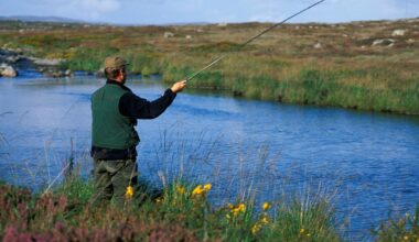 Twenty-six whistleblower disclosures made against Inland Fisheries Ireland since 2022 – The Irish Times