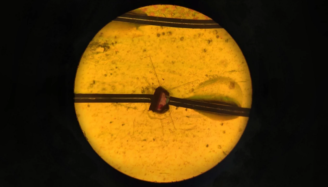 Lead-free material proves piezoelectric potential