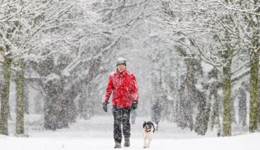 Met Éireann forecasts snow and ice as weather warnings issued for all of Ireland this weekend – The Irish Times