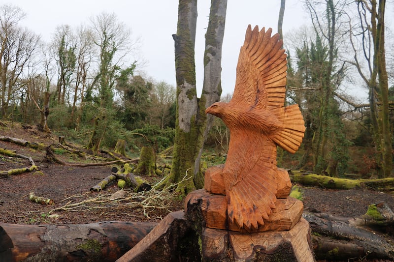 A wood sculpture of an eagle carved from a fallen tree in Barna Woods, outside Galway city. Photograph: Ronan McGreevy