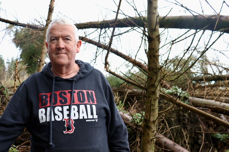 Paddy Fahey's 20-acre forest was decimated by Storm Éowyn. Photograph: Ronan McGreevy