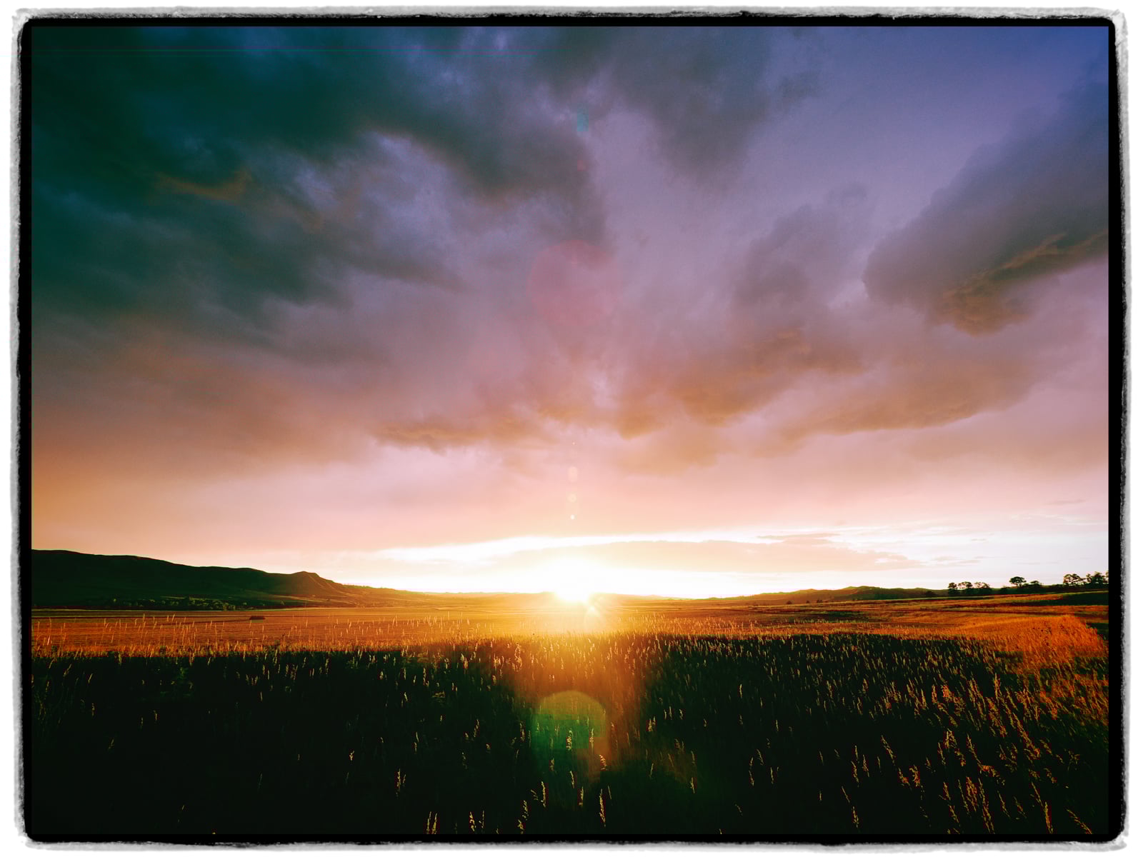 A wide field of tall grass is illuminated by a dramatic sunset, with dark clouds overhead and sunlight glowing near the horizon, casting warm tones across the landscape.