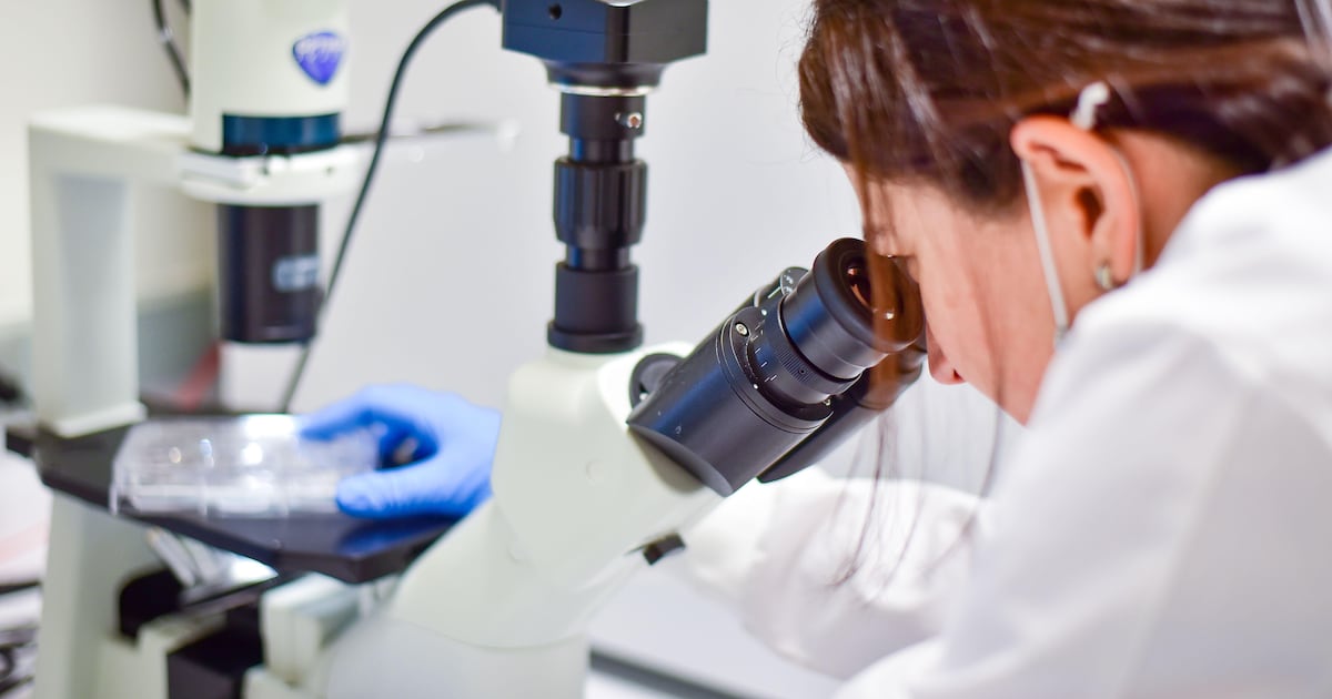 Researchers discover new treatments for liver and bowel cancer – The Irish News