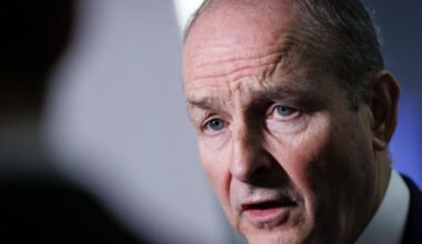 Greenland dispute shows why Europe must be more self-reliant, Taoiseach says – The Irish Times