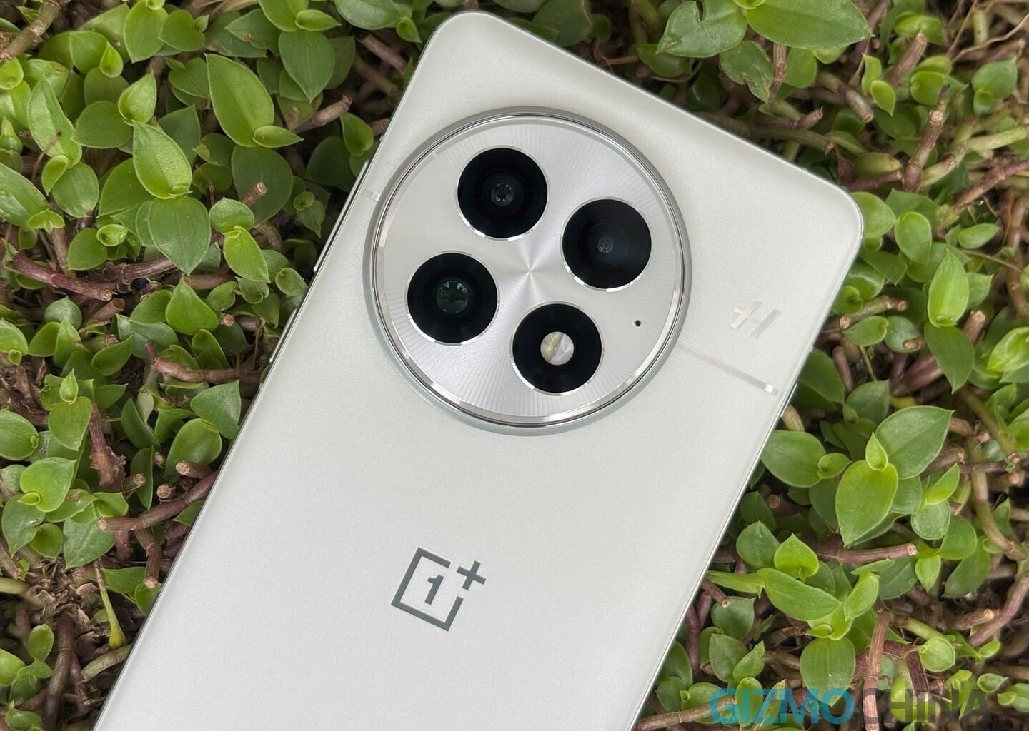 OnePlus 13 Gets Bypass Charging and 50MP Photo Editing in Latest Update