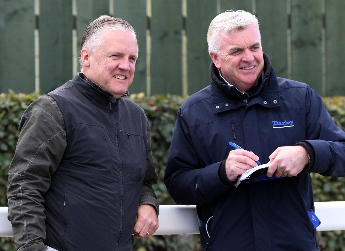 'The Future Is Very Bright At Kildangan Stud'
