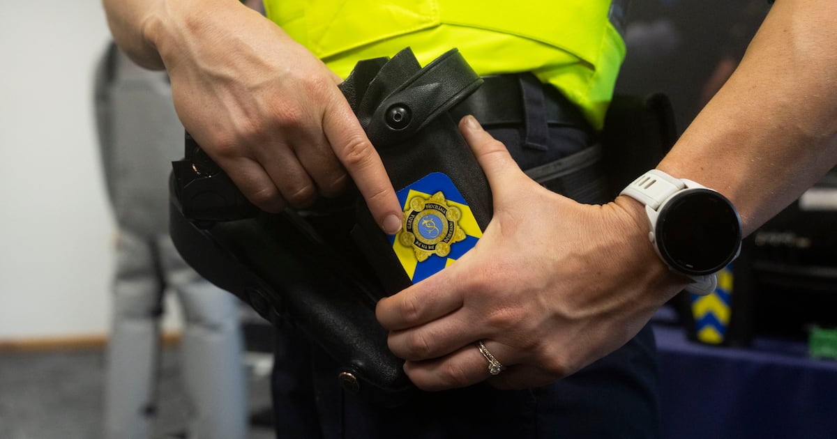 Cork farmer who alleged gardaí Tasered him twice settles High Court action – The Irish Times