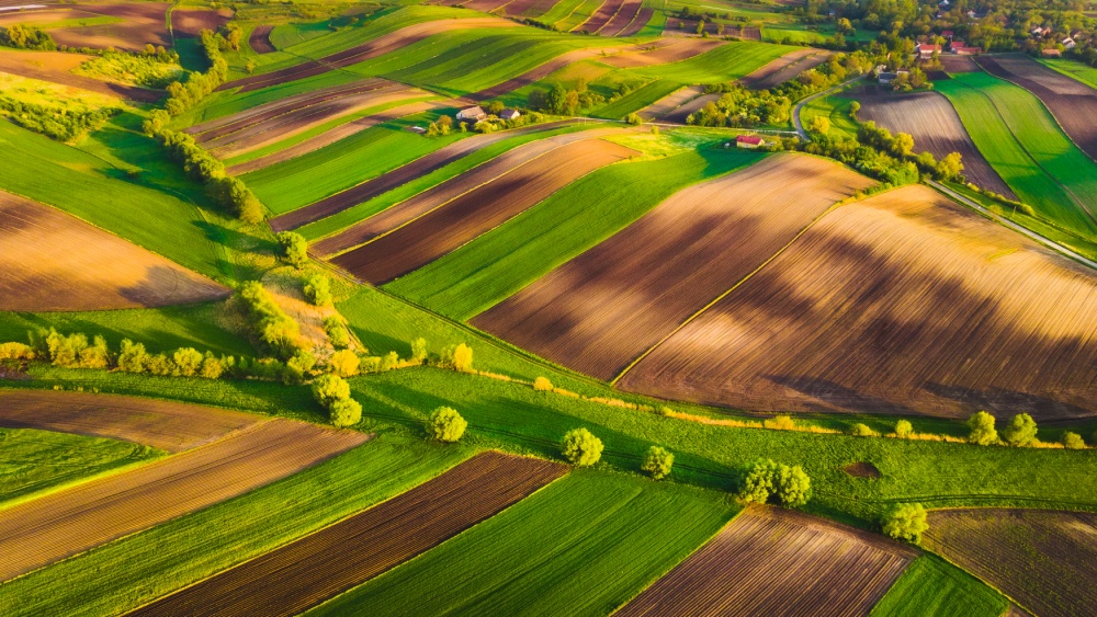 Birds eye view of agricultural land.