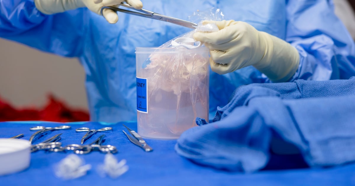 Almost 300 people per day on average are opting out of organ donation under new rules – The Irish Times