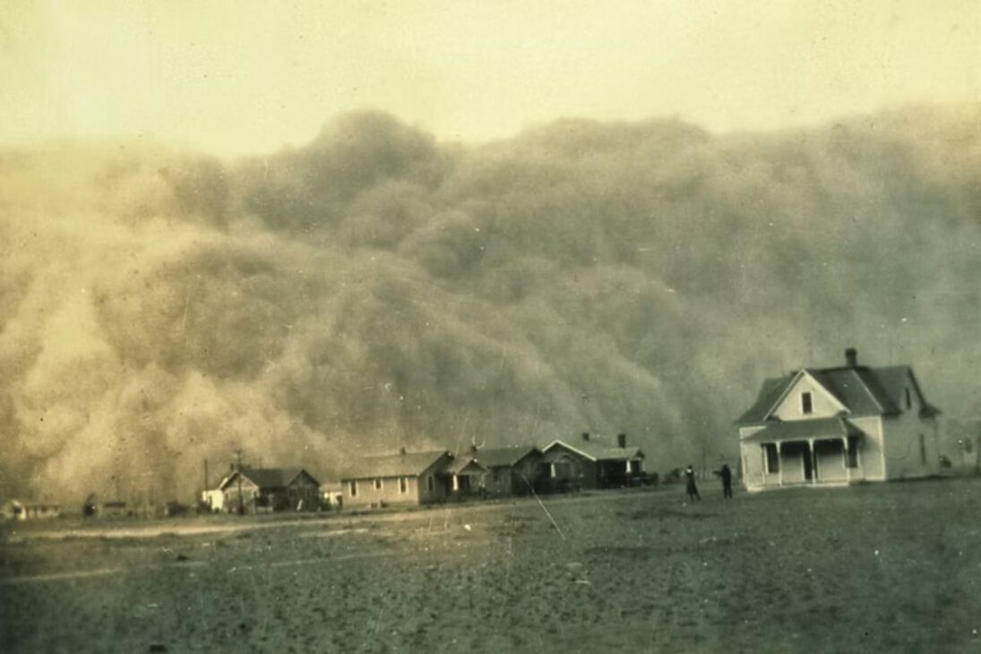 The U.S. has planted 220 million trees, creating buffer zones and forest belts that reduce soil erosion and address climate collapse.