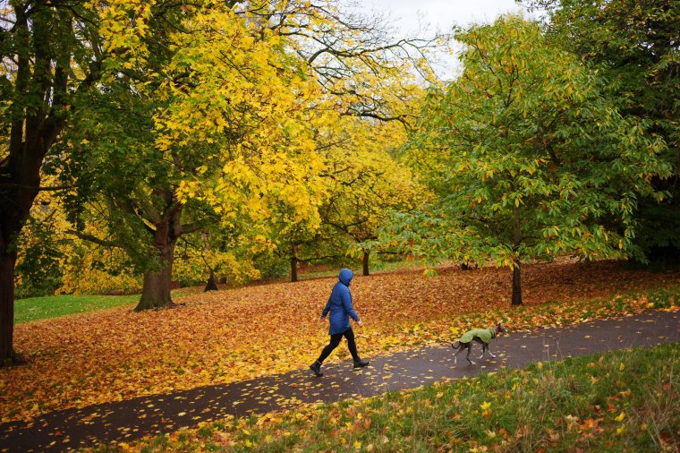 A woman walking a dog in Greenwich Park, London. Picture date: Friday October 31st, 2025. PA Photo. Photo credit should read: Yui Mok/PA Wire