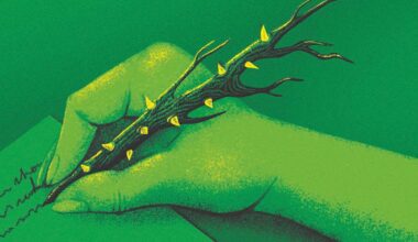 New Scientist. Science news and long reads from expert journalists, covering developments in science, technology, health and the environment on the website and the magazine.