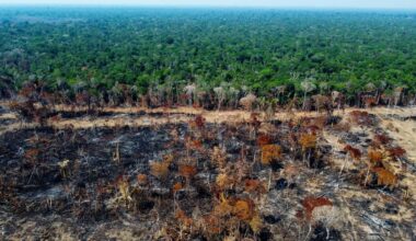Amazon is getting drier as deforestation shuts down atmospheric rivers