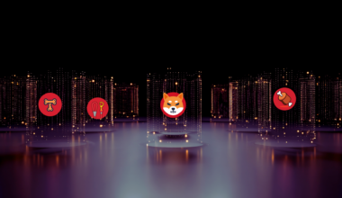 Privacy Confirmed: Advanced FHE Coming To All Shiba Inu Tokens