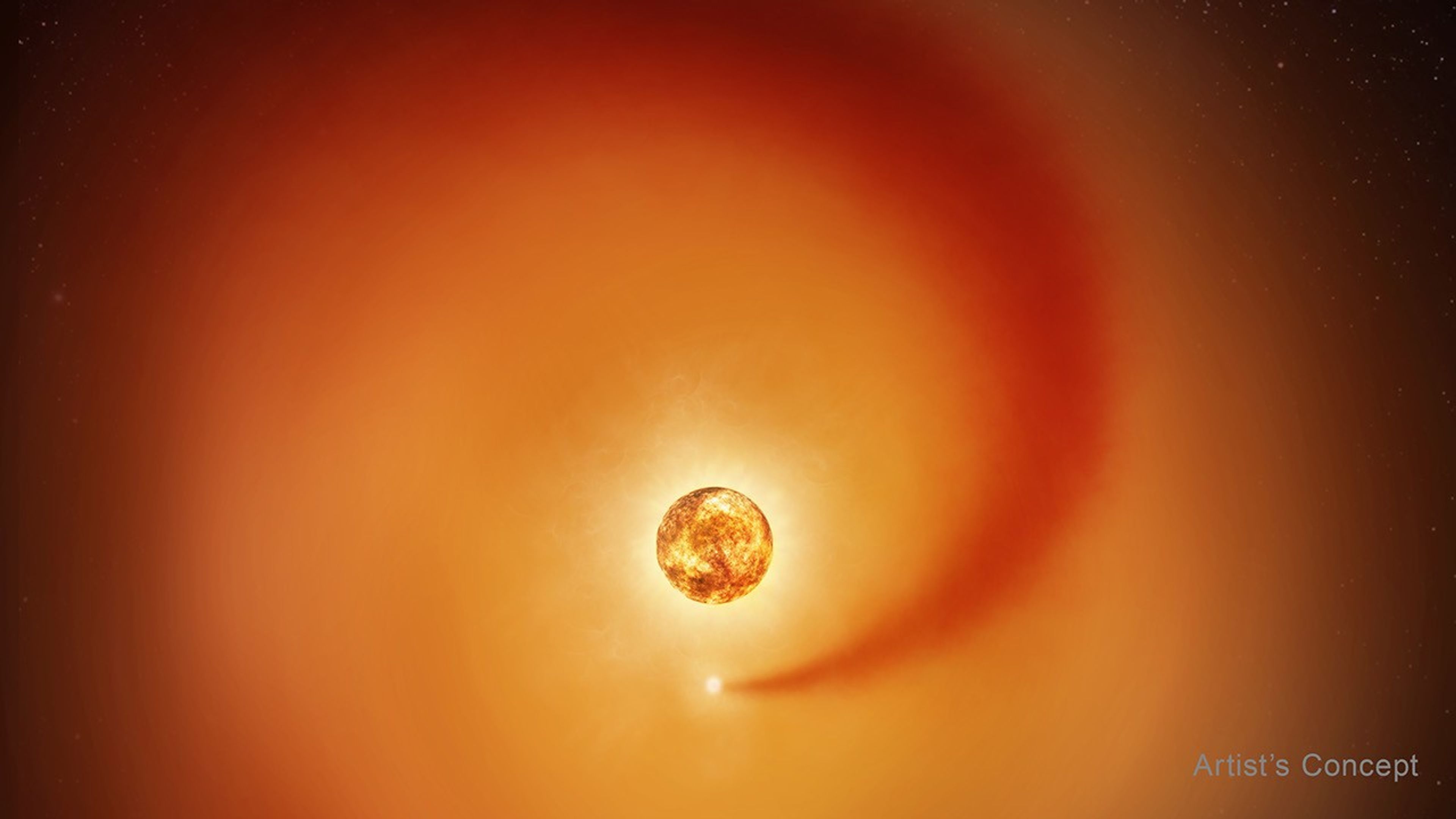 An illustration of the red supergiant star Betelgeuse, its companion star, and a dusty wake. The disk of a red-orange star is in the center. It is surrounded by a diffuse orange cloud representing its extended atmosphere. Below it about one stellar diameter away is a yellow dot representing a smaller companion star. From the companion, a dark red cloud wraps around in a counterclockwise direction. It begins very narrow and expands as it gets further from the companion, finally disappearing at the outer edge of the diffuse orange cloud around 10 o’clock. The words “artist’s concept” are at lower right.