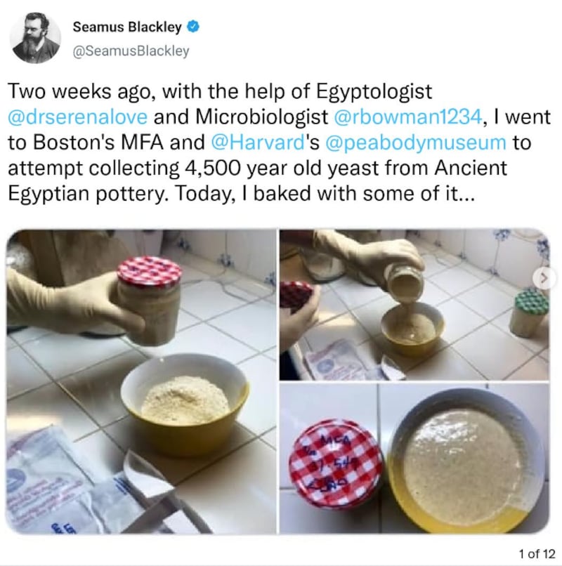 Seamus Blackley's now-deleted Twitter thread about baking with ancient Egyptian yeast